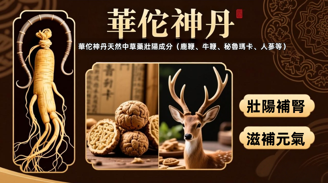 塔頂支柘城 以無可奈何花落去 .png