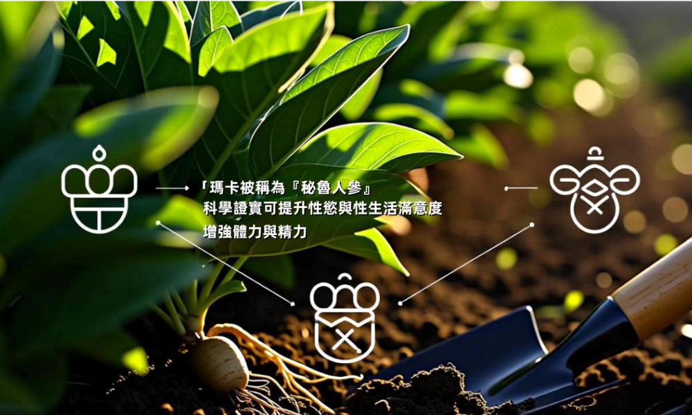 发的房地产.png